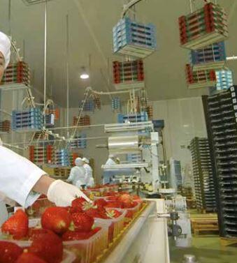  système de chemin de câbles Legrand distribution d'energie solution pour industrie alimentaire